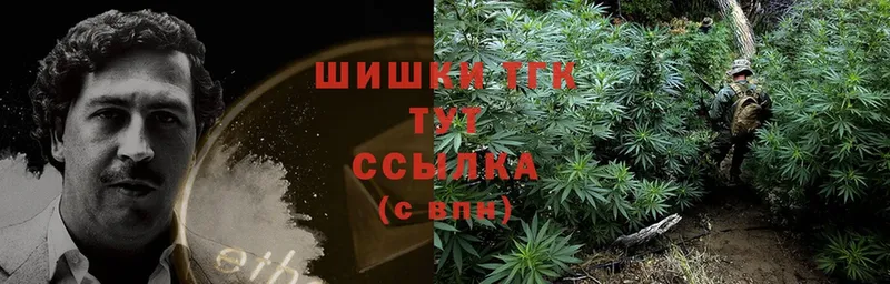 Конопля SATIVA & INDICA  Бронницы 